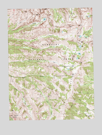 Ruby Dome, NV USGS Topographic Map
