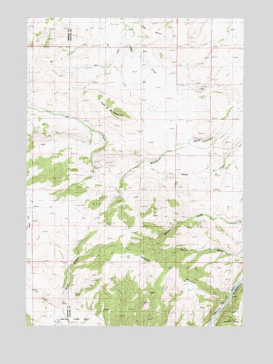 Ruby Mountain, MT USGS Topographic Map