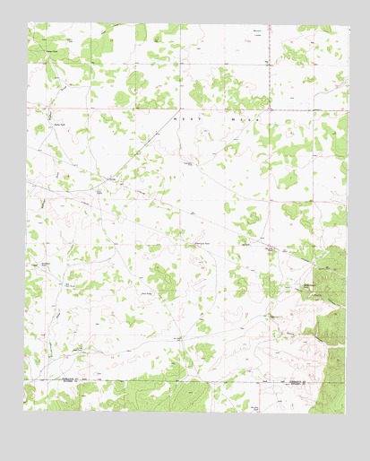 Bigbee Draw, NM USGS Topographic Map