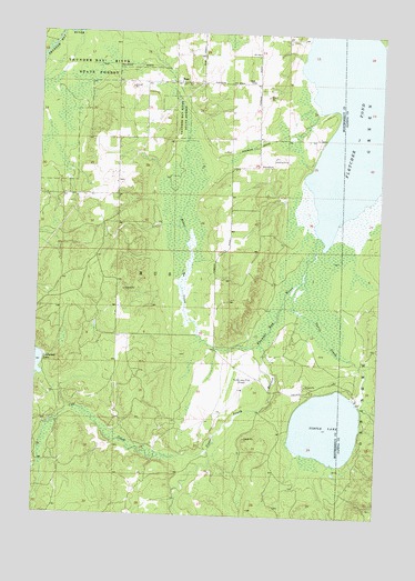 Rust, MI USGS Topographic Map