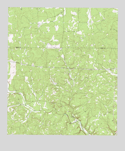 Rust Ranch, TX USGS Topographic Map
