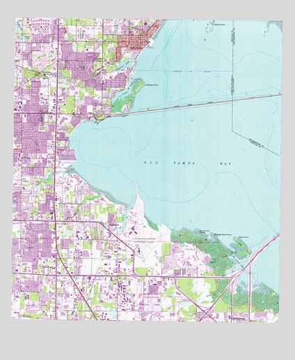 Safety Harbor, FL USGS Topographic Map