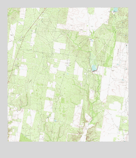Sagunada Ranch, TX USGS Topographic Map