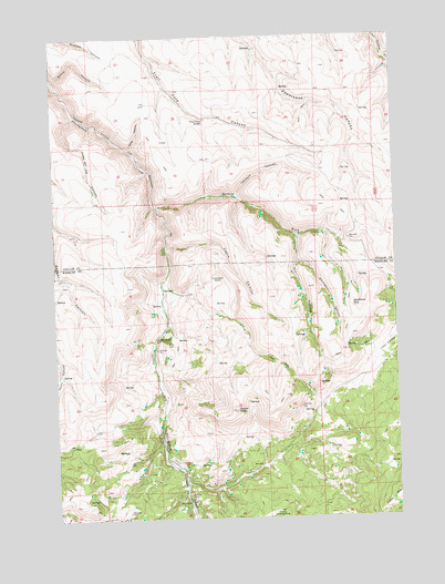 Salmon Fork, OR USGS Topographic Map