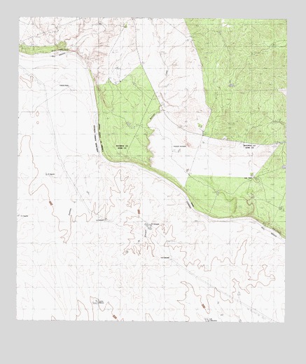 Salt Well, TX USGS Topographic Map