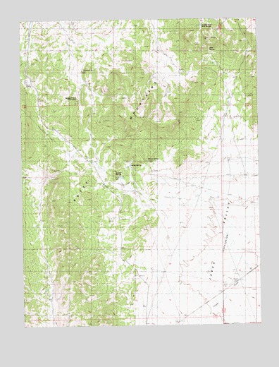 Sammy Springs, NV USGS Topographic Map