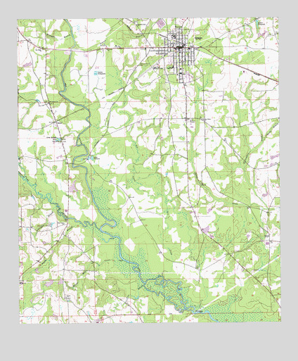 Samson, AL USGS Topographic Map