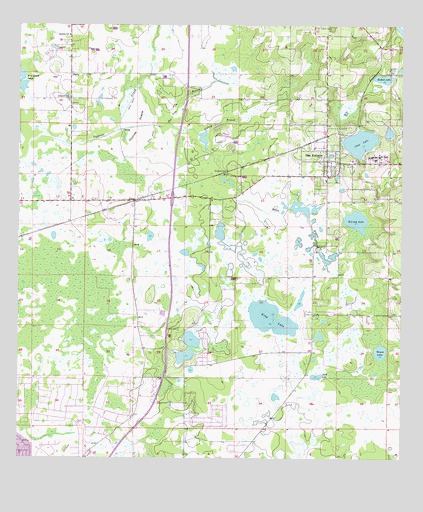 San Antonio, FL USGS Topographic Map