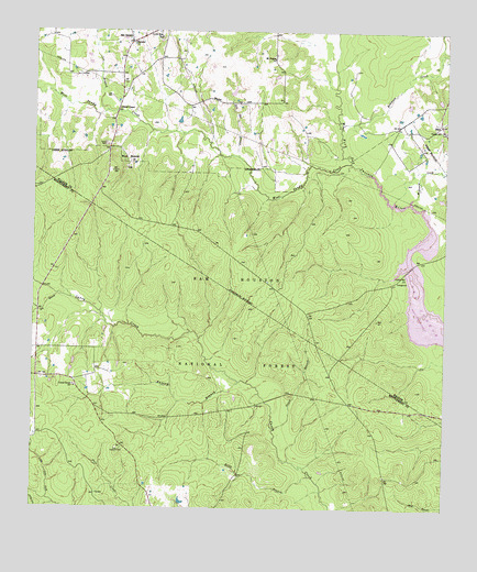 San Jacinto, TX USGS Topographic Map