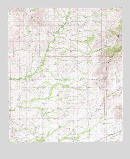 San Pedro Ranch, AZ USGS Topographic Map