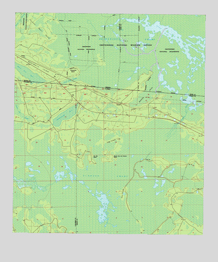 Sargent, FL USGS Topographic Map
