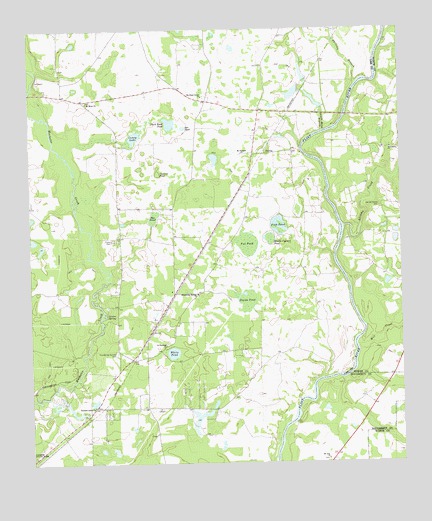 Albany NE, GA USGS Topographic Map