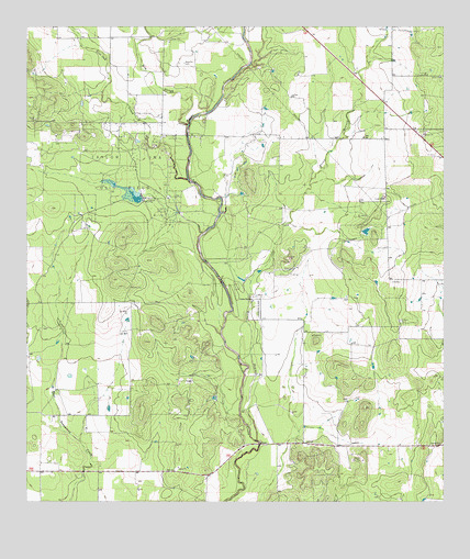 Biry, TX USGS Topographic Map