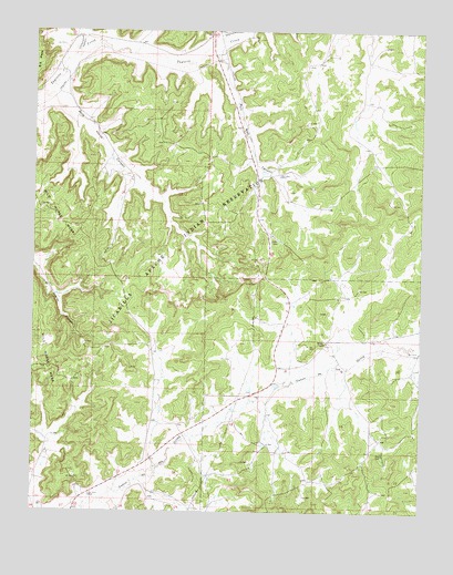 Schmitz Ranch, NM USGS Topographic Map