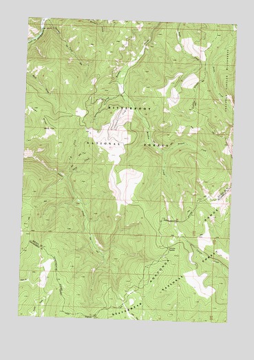 Schultz Saddle, MT USGS Topographic Map