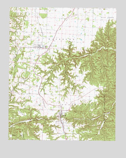 Seligman, MO USGS Topographic Map
