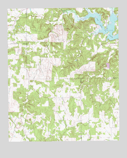 Selma, TX USGS Topographic Map