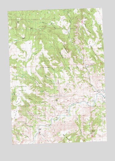 Service Creek, OR USGS Topographic Map