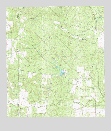 Shaeffer Ranch, TX USGS Topographic Map
