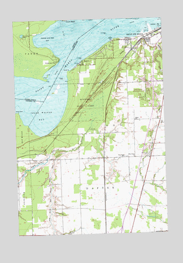 Shallows, MI USGS Topographic Map