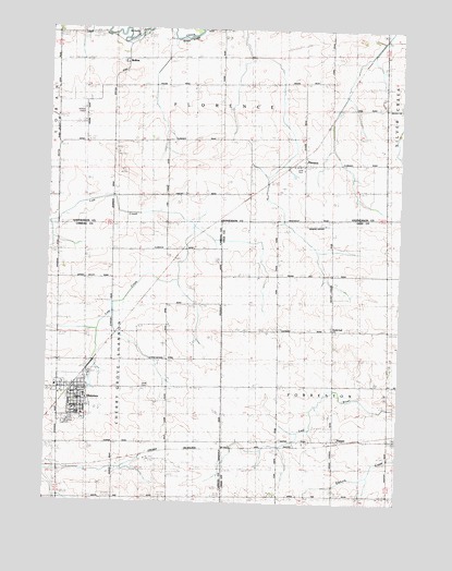 Shannon, IL USGS Topographic Map