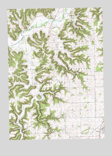 Sheldon, MN USGS Topographic Map
