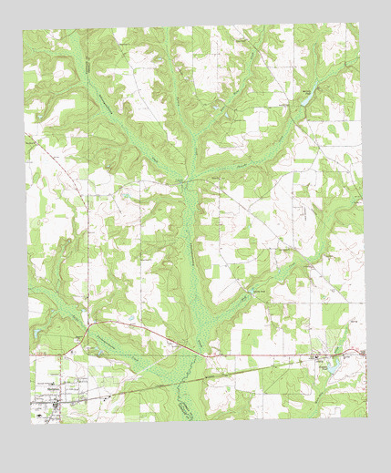 Shellman, GA USGS Topographic Map