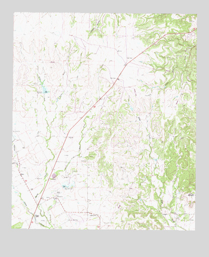 Shep, TX USGS Topographic Map
