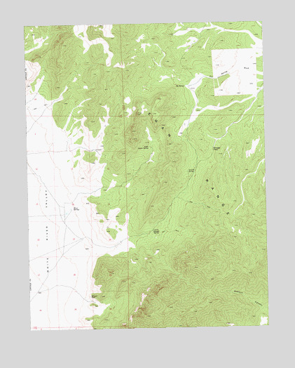 Shingle Pass, NV USGS Topographic Map