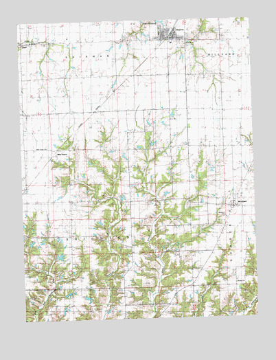 Shipman, IL USGS Topographic Map