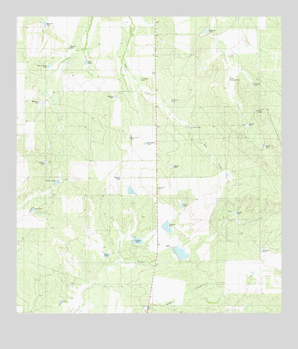 Shipp Ranch, TX USGS Topographic Map
