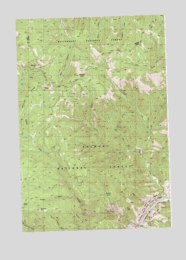 Shoup, ID USGS Topographic Map