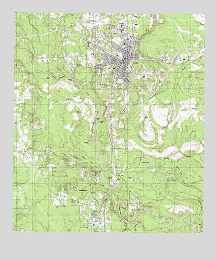 Silsbee, TX USGS Topographic Map
