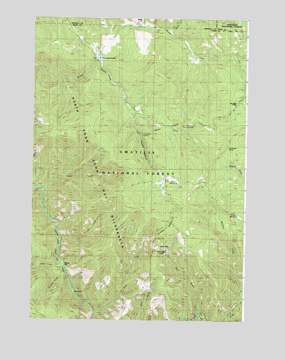 Silver Butte, OR USGS Topographic Map