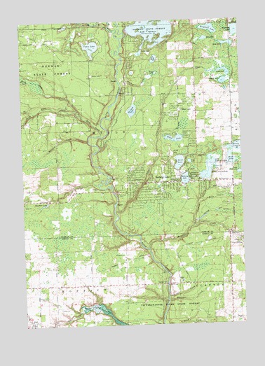 Skidway Lake, MI USGS Topographic Map