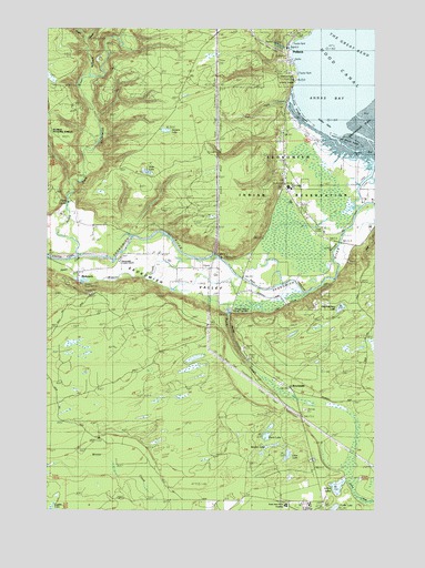 Skokomish Valley, WA USGS Topographic Map
