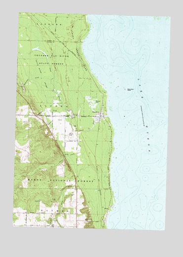Black River, MI USGS Topographic Map