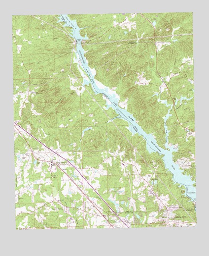 Smiths Station, AL USGS Topographic Map