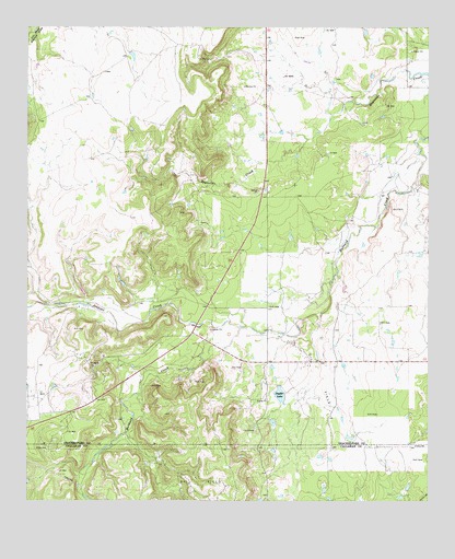 Snyder Lake, TX USGS Topographic Map