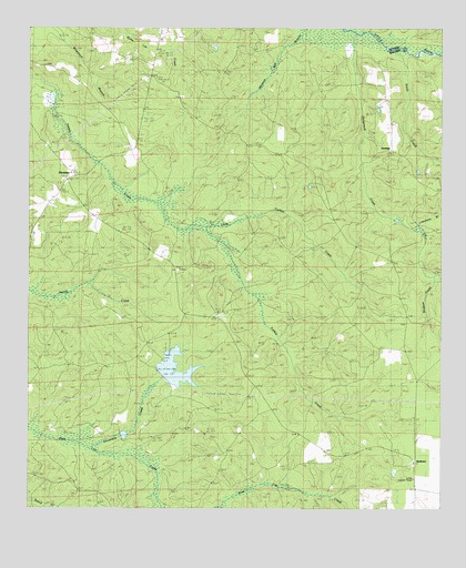 Blacksher, AL USGS Topographic Map