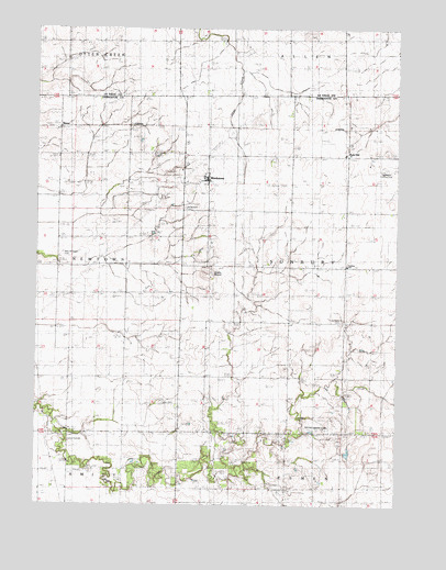 Blackstone, IL USGS Topographic Map