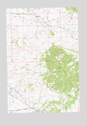 Spring Creek Junction, MT USGS Topographic Map