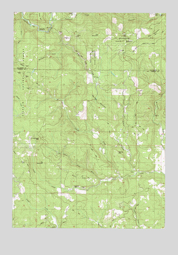 Springer Mountain, OR USGS Topographic Map