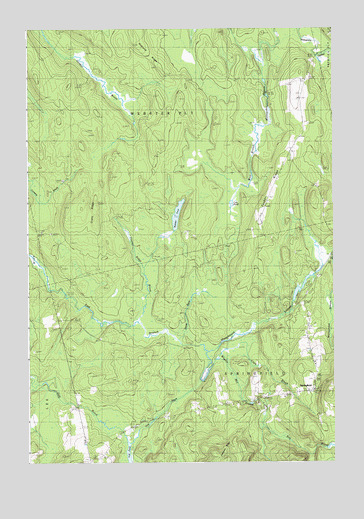 Springfield, ME USGS Topographic Map