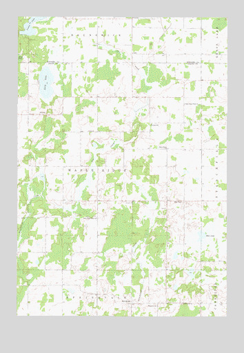 Springvale, MN USGS Topographic Map