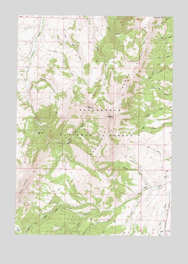 Spur Mountain, MT USGS Topographic Map