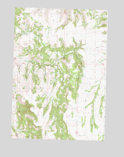 Steet Mountain, OR USGS Topographic Map