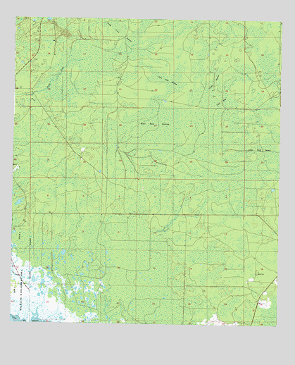 Steinhatchee SE, FL USGS Topographic Map