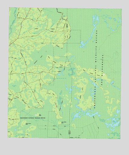 Strange Island, GA USGS Topographic Map