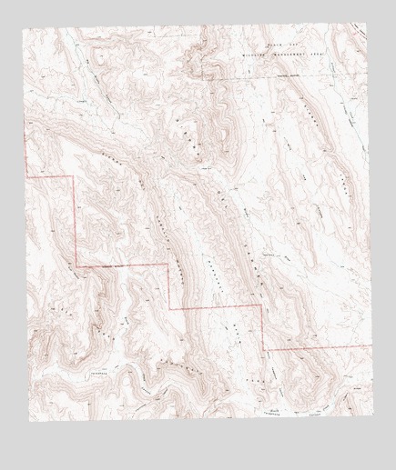 Sue Peaks, TX USGS Topographic Map